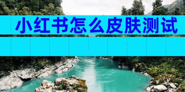 小红书怎么皮肤测试