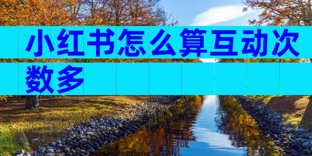 小红书怎么算互动次数多