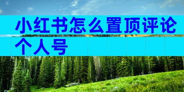 小红书怎么置顶评论个人号