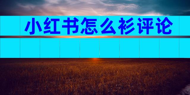 小红书怎么衫评论