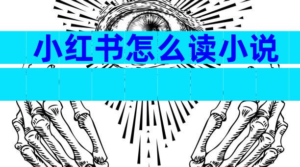 小红书怎么读小说