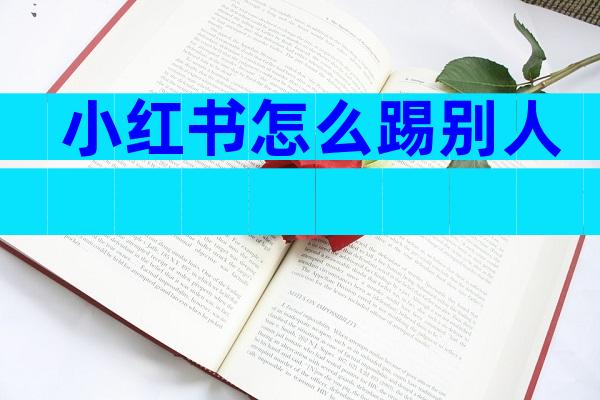 小红书怎么踢别人