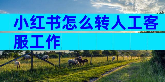 小红书怎么转人工客服工作