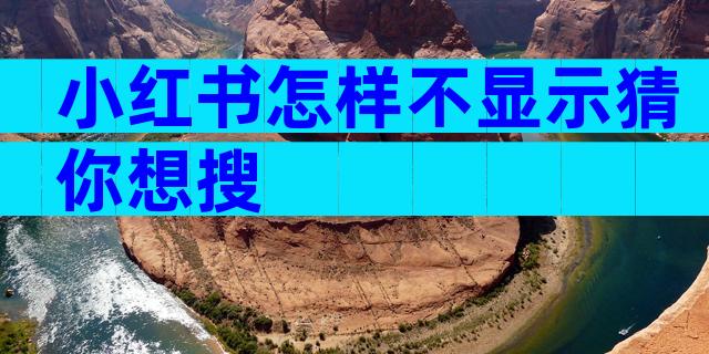 小红书怎样不显示猜你想搜