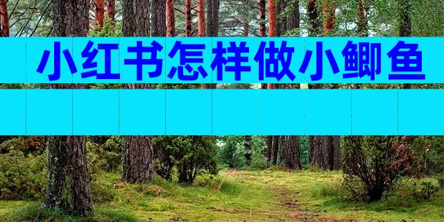 小红书怎样做小鲫鱼