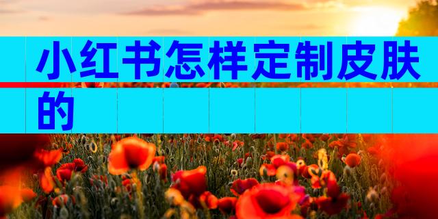 小红书怎样定制皮肤的