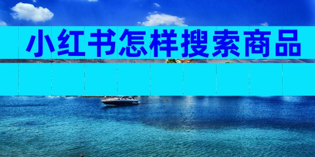 小红书怎样搜索商品