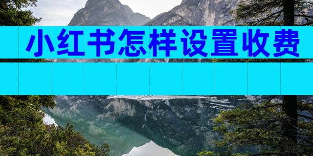 小红书怎样设置收费