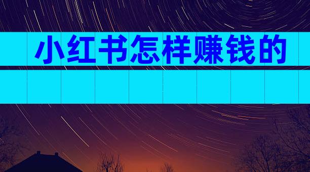 小红书怎样赚钱的