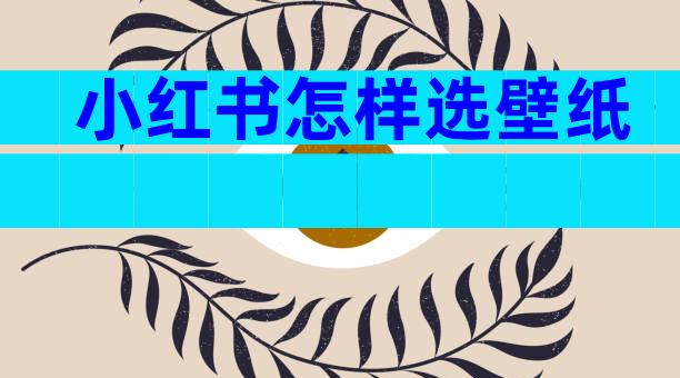 小红书怎样选壁纸