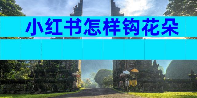 小红书怎样钩花朵