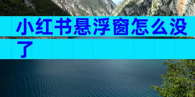 小红书悬浮窗怎么没了