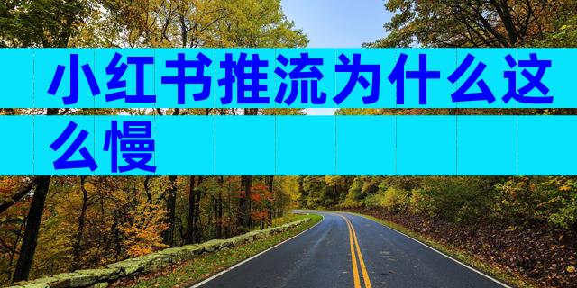 小红书推流为什么这么慢