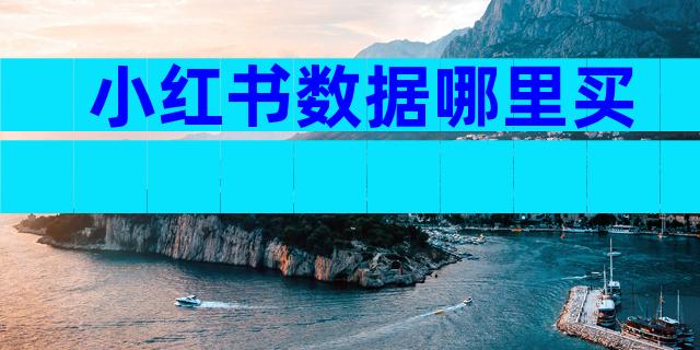 小红书数据哪里买