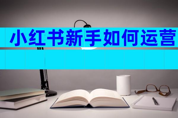 小红书新手如何运营