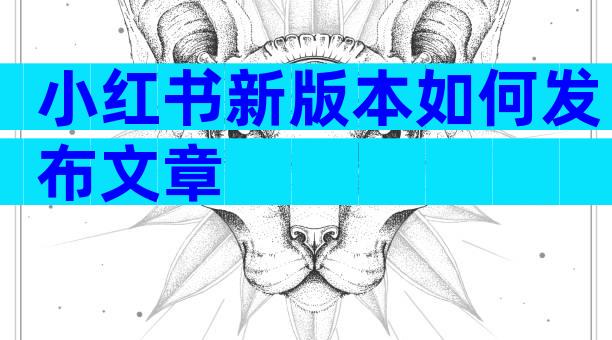小红书新版本如何发布文章