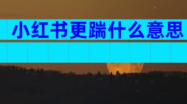 小红书更踹什么意思