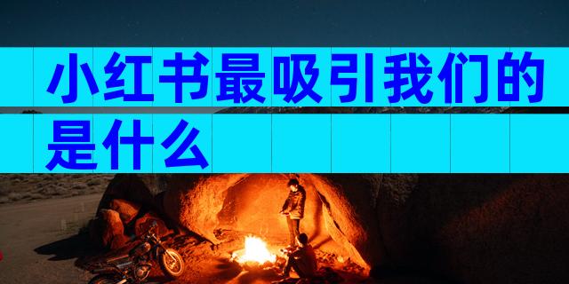 小红书最吸引我们的是什么