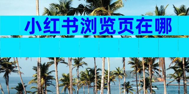 小红书浏览页在哪