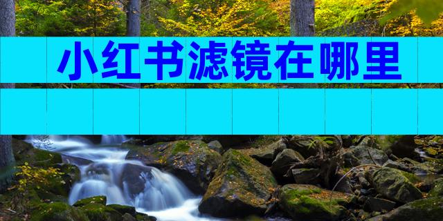 小红书滤镜在哪里