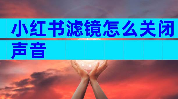 小红书滤镜怎么关闭声音