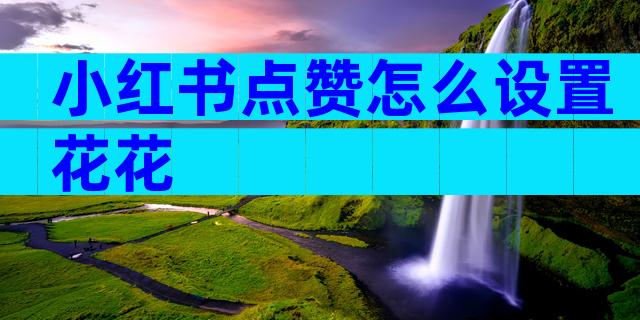 小红书点赞怎么设置花花