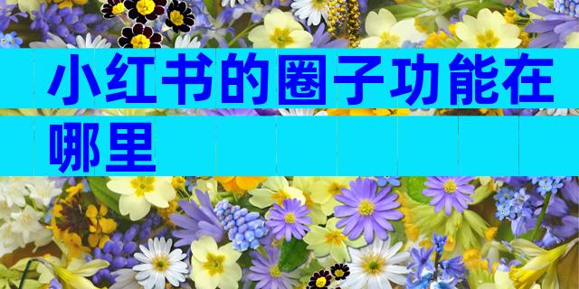 小红书的圈子功能在哪里