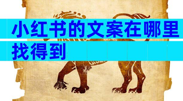 小红书的文案在哪里找得到