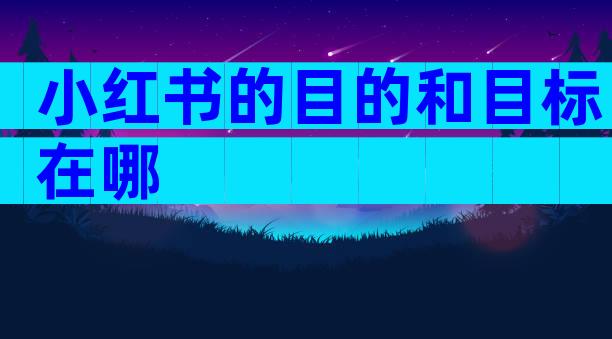 小红书的目的和目标在哪
