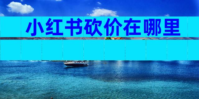 小红书砍价在哪里