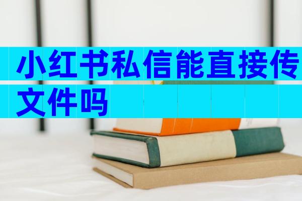 小红书私信能直接传文件吗