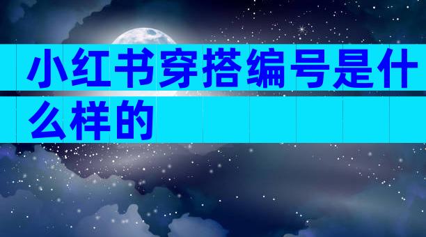 小红书穿搭编号是什么样的