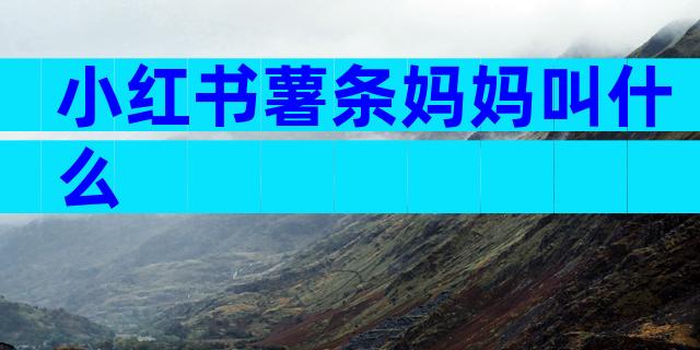 小红书薯条妈妈叫什么