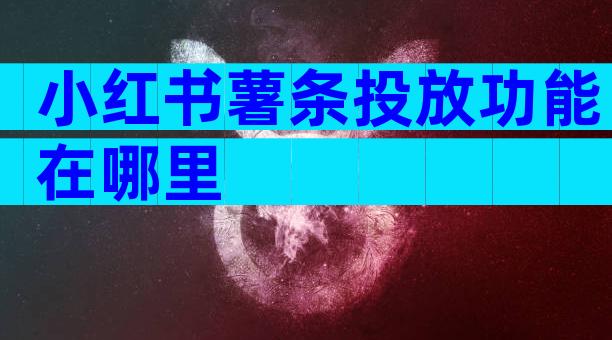 小红书薯条投放功能在哪里