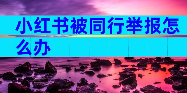 小红书被同行举报怎么办