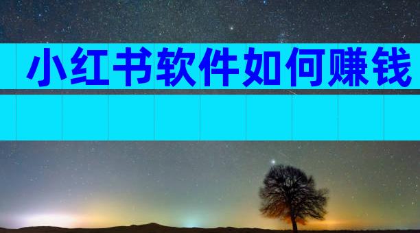 小红书软件如何赚钱