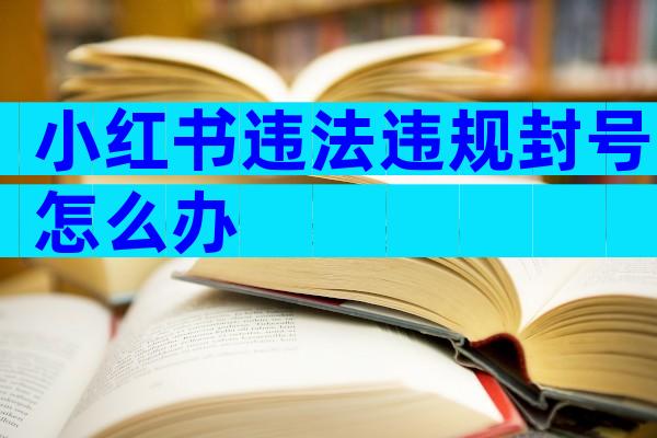 小红书违法违规封号怎么办