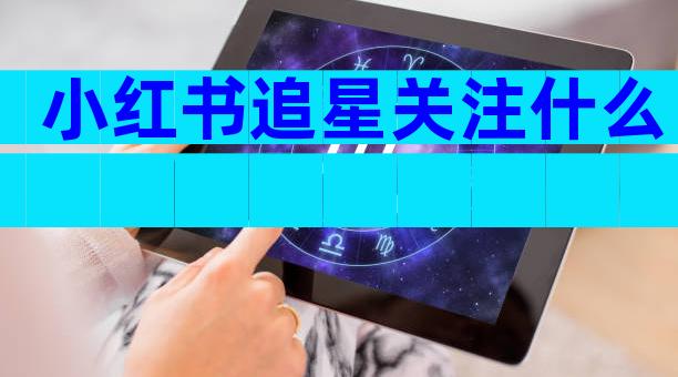 小红书追星关注什么
