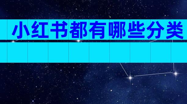 小红书都有哪些分类