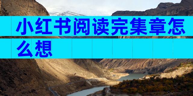 小红书阅读完集章怎么想