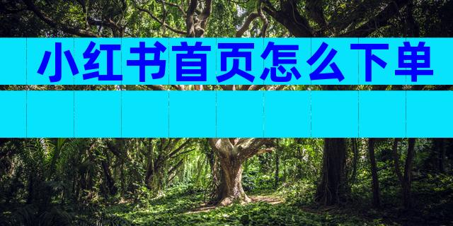 小红书首页怎么下单