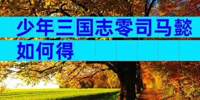 少年三国志零司马懿如何得