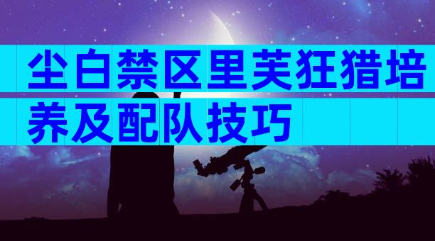 尘白禁区里芙狂猎培养及配队技巧