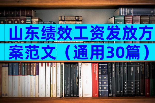 山东绩效工资发放方案范文（通用30篇）