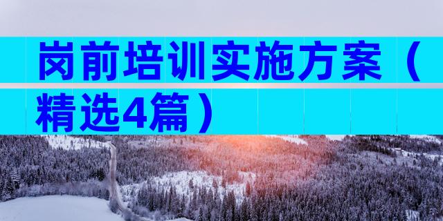 岗前培训实施方案（精选4篇）
