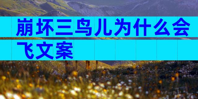 崩坏三鸟儿为什么会飞文案