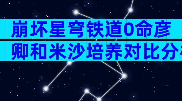 崩坏星穹铁道0命彦卿和米沙培养对比分析