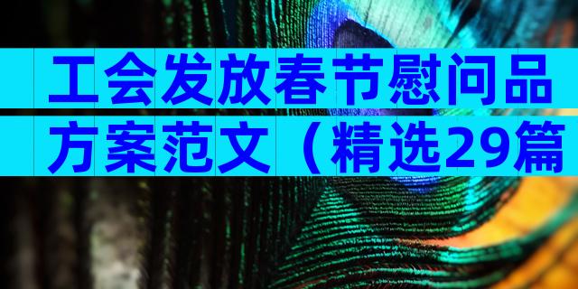 工会发放春节慰问品方案范文（精选29篇）