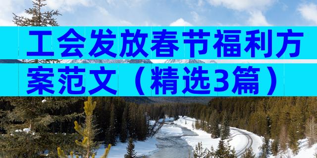 工会发放春节福利方案范文（精选3篇）