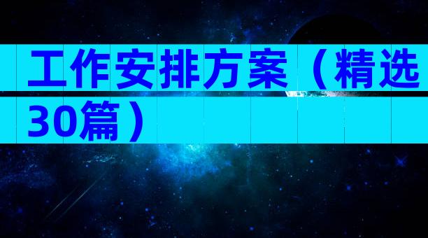 工作安排方案（精选30篇）